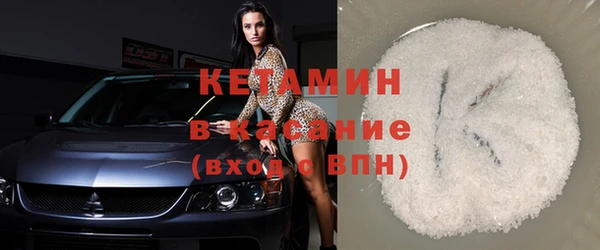 сатива Ельня