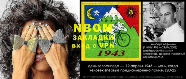 сатива Ельня