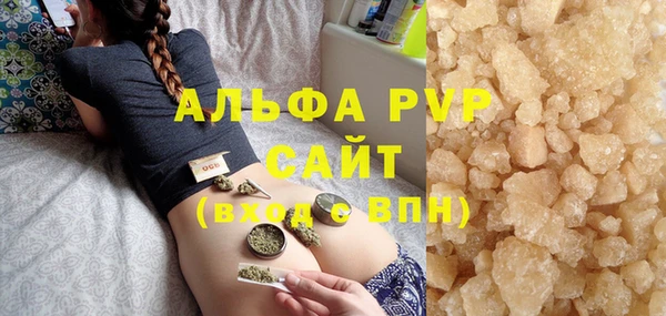 сатива Ельня