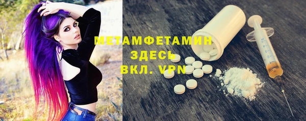 сатива Ельня