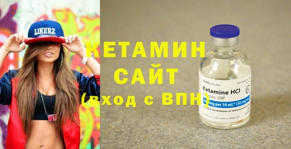 сатива Ельня