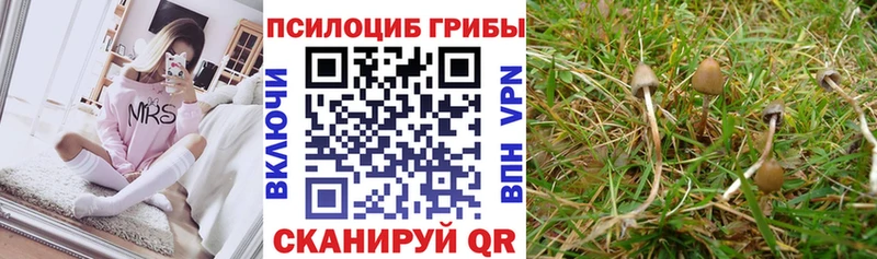 Галлюциногенные грибы мицелий  Альметьевск 